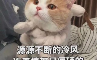 困的文案沙雕，很困的沙雕文案