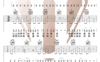 野花歌词，野花歌词完整版